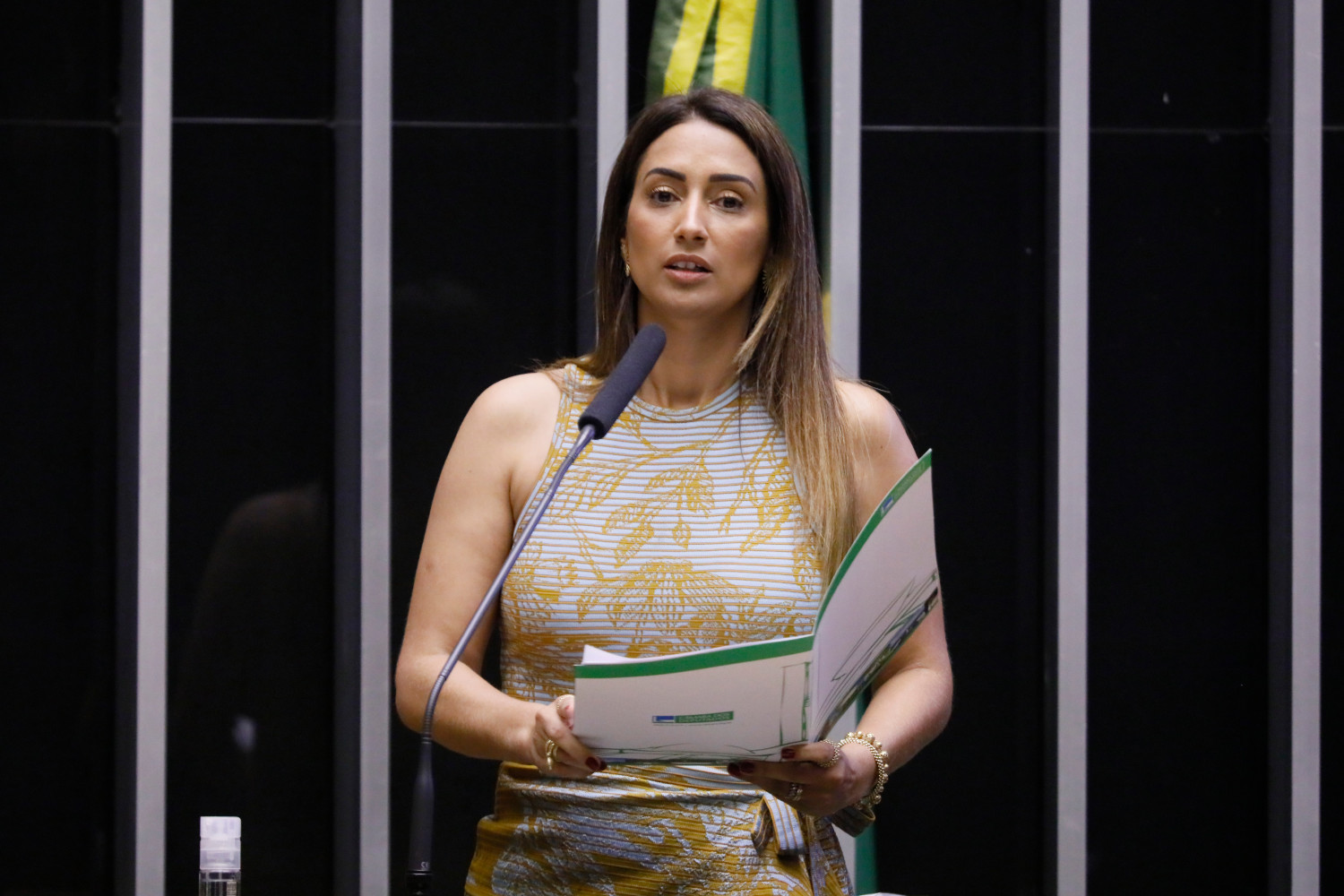 Luis Macedo/Câmara dos Deputados