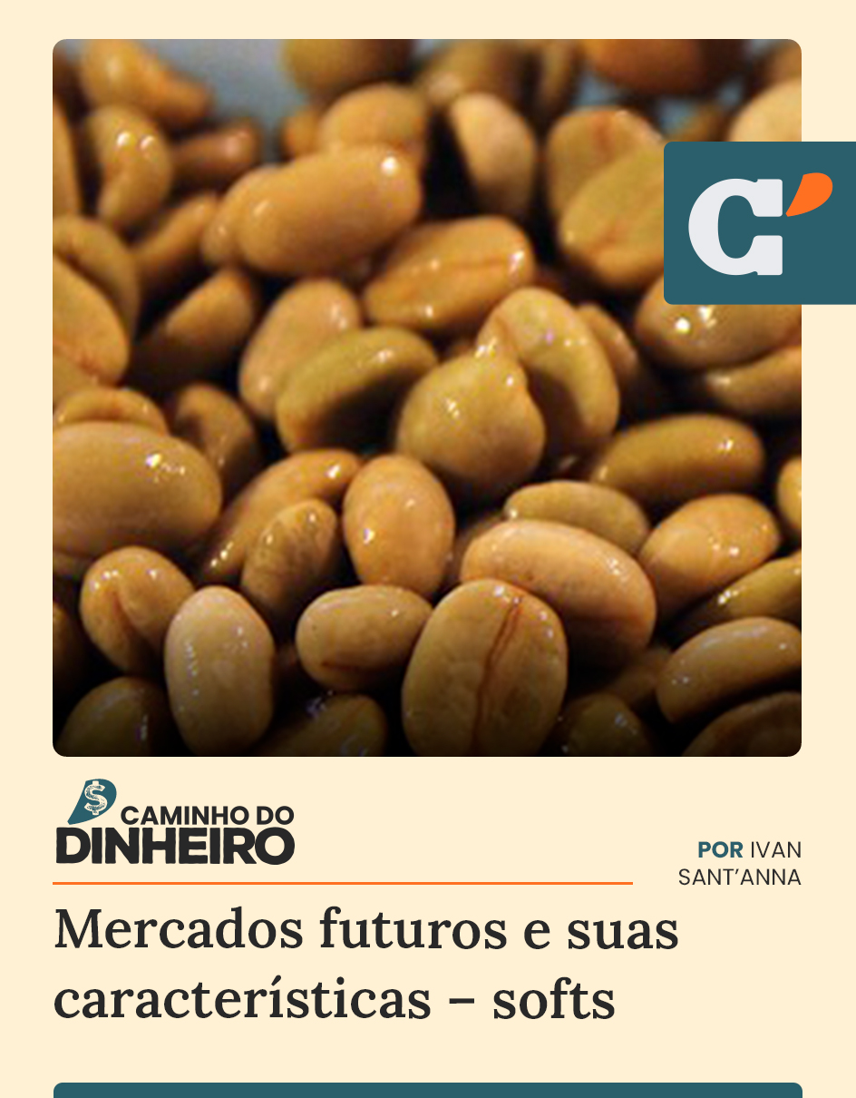 Capa edição