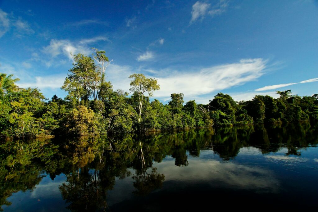 Licenciamento ambiental sob nova lei: quem ganha e quem perde com a decisão do Senado
