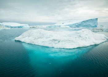 Foto: Alexander Hafemann/Unsplash