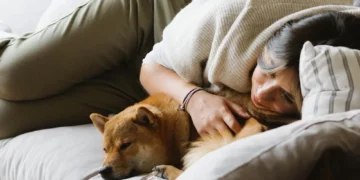 Dormir com o cachorro faz mal?