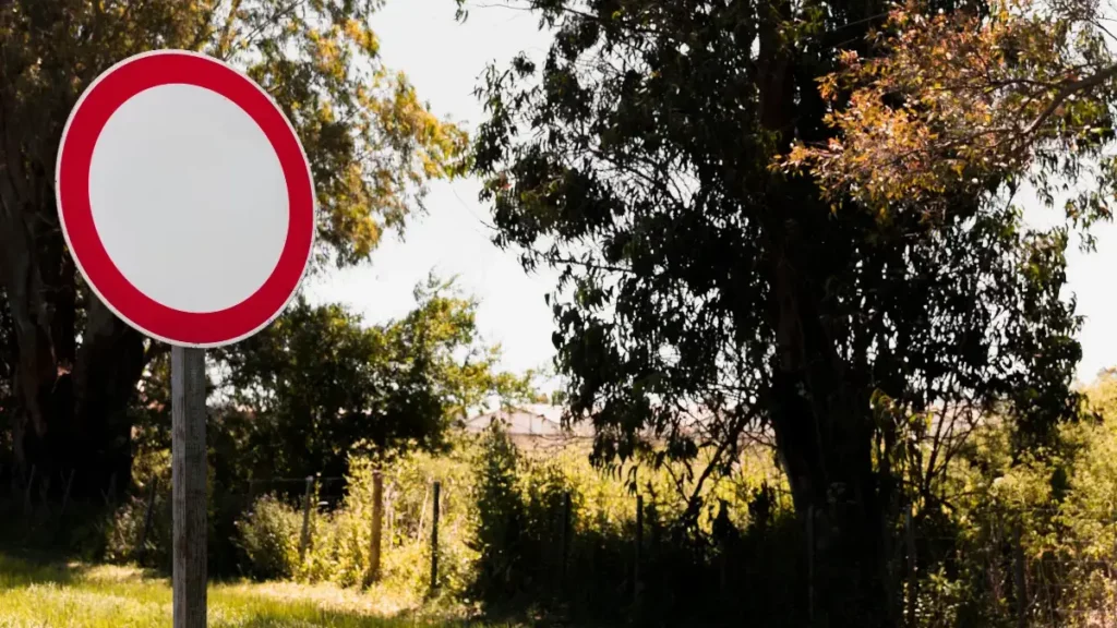 Placa falsa está circulando como novidade no trânsito