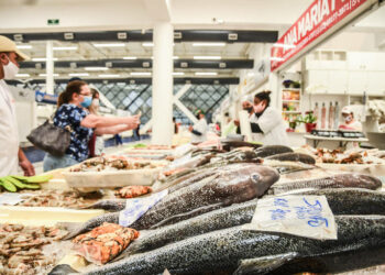 Esqueça o salmão: peixe barato tem mais cálcio que o leite e traz saúde pro corpo