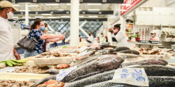 Esqueça o salmão: peixe barato tem mais cálcio que o leite e traz saúde pro corpo