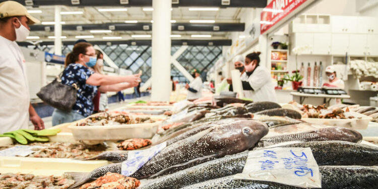 Esqueça o salmão: peixe barato tem mais cálcio que o leite e traz saúde pro corpo