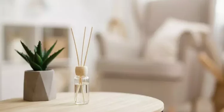 Deixe sua casa cheirosa toda noite com essa dica infalível
