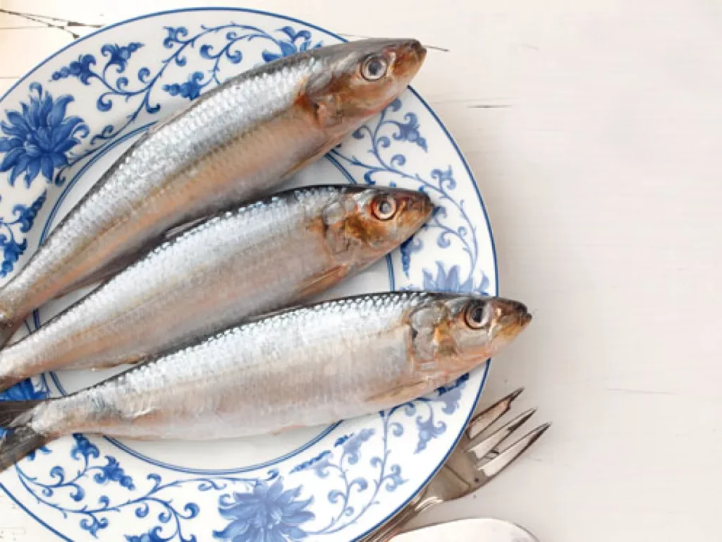 A sardinha é um peixe que, embora frequentemente subestimado, revela-se um alimento altamente nutritivo. Durante os meses de setembro e outubro, ocorre um aumento no teor de gordura das sardinhas.
Esse incremento resulta em maiores níveis de ácidos graxos ômega-3, essenciais para a saúde cardiovascular e cognitiva. Consumidores em todo o Brasil podem aproveitar este ciclo natural para enriquecer suas dietas sem gastar muito.
A sardinha não é apenas acessível, mas também uma excelente fonte de nutrientes durante o ano todo, especialmente na forma enlatada, que mantém sua qualidade nutricional.
Por que adicioná-la ao seu cardápio?
Com 2 a 3 sardinhas médias, é possível ultrapassar a ingestão diária recomendada de vitamina D. Este peixe também é uma rica fonte de cálcio, principalmente quando consumido com espinhas. Assim, é uma adição valiosa para fortalecer os ossos.
A sardinha também se destaca pelo baixo teor de mercúrio, resultado de sua posição inicial na cadeia alimentar, o que a torna uma escolha frequentemente mais segura que peixes maiores e mais caros, como o salmão.
Além desses benefícios, a sardinha oferece proteínas de alta qualidade, fundamentais para a manutenção muscular e várias funções corporais. O peixe é igualmente benéfico por incluir na sua composição vitaminas B, iodo e fósforo, cada qual desempenhando papéis essenciais no suporte ao sistema nervoso, na regulação da energia e na saúde óssea.
Como incluir sardinha na dieta
A sardinha é extremamente versátil, adequada para diferentes preparações culinárias. Pode ser servida grelhada com legumes ou usada como recheio de sanduíches e em molhos de macarrão.
As versões frescas funcionam bem em assados ou moquecas, enquanto a sardinha enlatada é prática para saladas. Sua facilidade de preparo e baixa necessidade de temperos são grandes vantagens, garantindo refeições rápidas e saudáveis.
Desmistificar o preconceito de que a sardinha é uma opção inferior é essencial. Seu preço acessível e riqueza nutricional demonstram que ela é, na verdade, uma joia na dieta de qualquer pessoa que busque opções saudáveis e eficazes. Sendo assim, a sardinha se destaca como um alimento exemplar, combinando nutrição e custo-benefício de forma notável.
