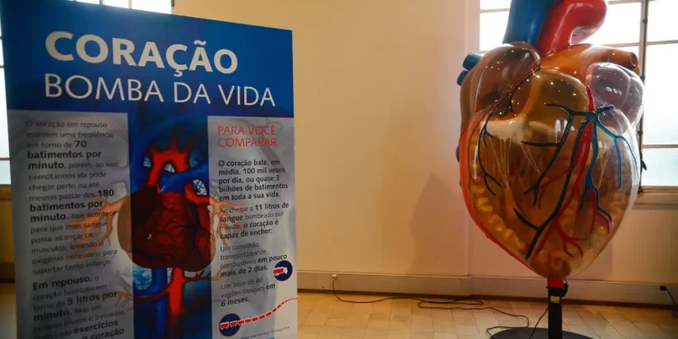 Reprodução: Agência Brasil (Tomaz Silva)