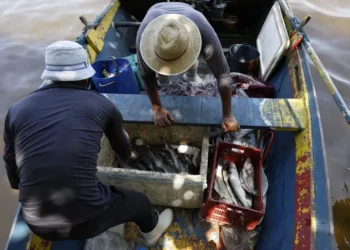 Reprodução: Agência Brasil (Fernando Frazão).