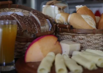 Reprodução: TV Brasil.