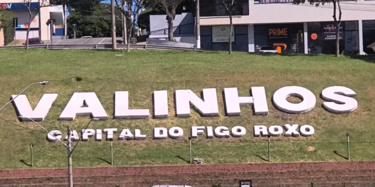 Reprodução: Jornal de Valinhos