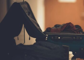 Foto: Craig Adderley/Pexels