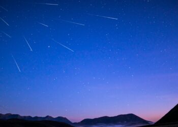 Foto: Will Li/Unsplash