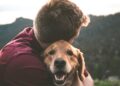 Foto: Eric Ward/Unsplash