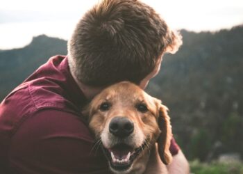 Foto: Eric Ward/Unsplash