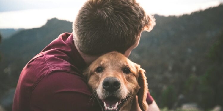Foto: Eric Ward/Unsplash