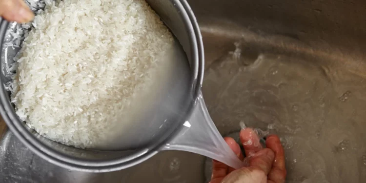 Lavar ou não lavar o arroz? Veja o que especialistas dizem