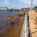 Calor recorde em cidade do Brasil causou crise e desespero entre moradores