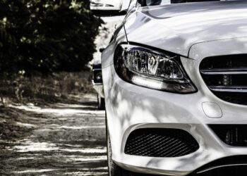 Reprodução: Pixabay