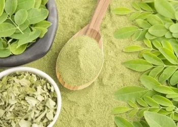 Planta poderosa está fazendo sucesso por ser conhecida como “árvore da vida”
