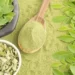 Planta poderosa está fazendo sucesso por ser conhecida como “árvore da vida”