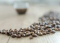 Café pode ficar mais barato ainda em 2025