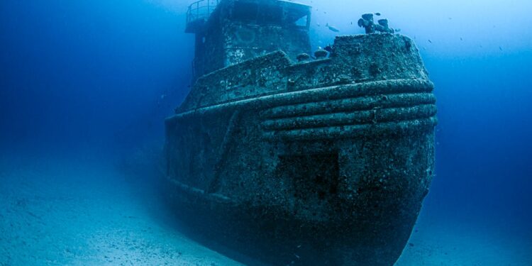 Reprodução: Pexels