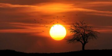 O horário de verão vai mesmo voltar? Isso é tudo o que sabemos