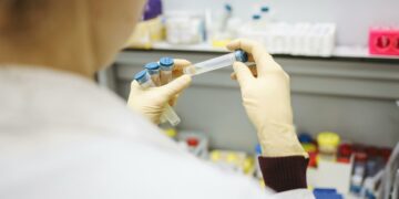 Brasil avança em pesquisa de vacina contra gripe aviária