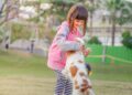 - 10 raças de cachorro ideais para famílias com crianças