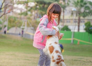 - 10 raças de cachorro ideais para famílias com crianças
