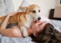 Seu cachorro te lambe muito? Veja o que isso realmente significa