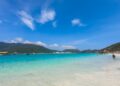 Reprodução: Unsplash