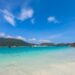 Reprodução: Unsplash