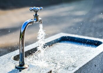 Foto: Jonas Kim/Pixabay