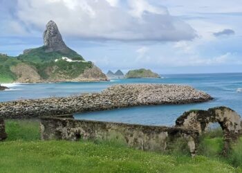Foto: Fernando de Noronha.org/Reprodução