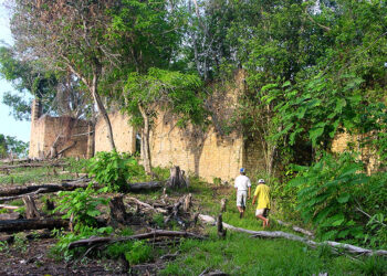 Cidade engolida pela floresta reaparece no Amazonas