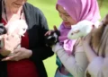 Alunos podem acariciar cães e gatos para aliviar a tensão das provas nessa universidade