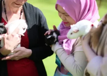 Alunos podem acariciar cães e gatos para aliviar a tensão das provas nessa universidade
