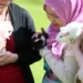 Alunos podem acariciar cães e gatos para aliviar a tensão das provas nessa universidade