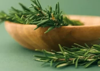 Estas plantas podem ajudar no tratamento do Alzheimer e na redução da ansiedade
