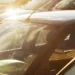 Esfrie seu carro quente rápido com esse truque baseado na física