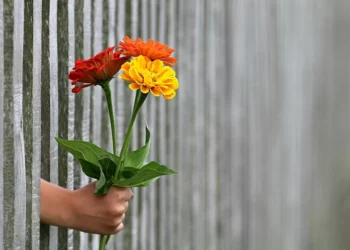 Transforme a dor em paz: Dicas da psicologia para perdoar verdadeiramente