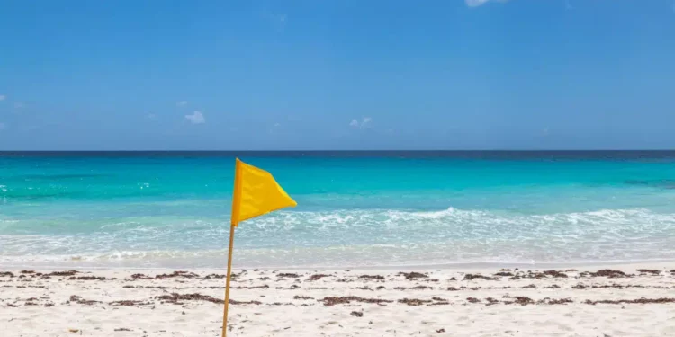 Praia com bandeira amarela: O que significa e o que fazer
