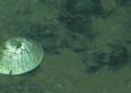 Animal gigante é encontrado a quase 6 km de profundidade no oceano