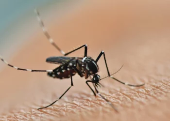 Alerta internacional: Outro vírus em surto na China se aproxima de vários países