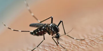 Alerta internacional: Outro vírus em surto na China se aproxima de vários países