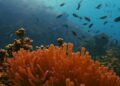 Foto: James Thornton/Unsplash