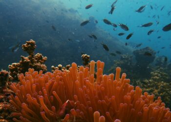 Foto: James Thornton/Unsplash