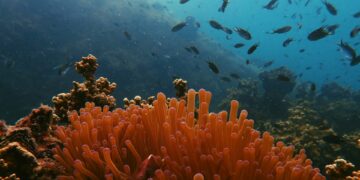Foto: James Thornton/Unsplash